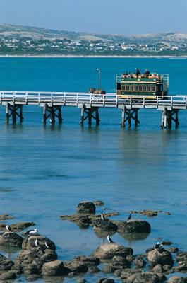 Horse Drawn Tram: a great place to visit in Victor Harbor. Image &copy SATC; Johnny Kamma. This photo sponsored by Storage Category.
