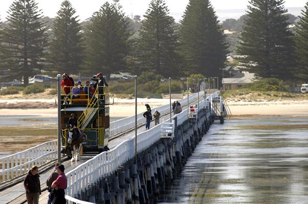 Historic Horse Drawn Tram: a great place to visit in Victor Harbor. Image &copy Fleurieu Peninsula Tourism ; Adam Bruzzone. This photo sponsored by Bicycles - Renting Category.